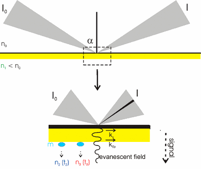 Oberflächenplasmonresonanz (SPR)