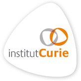 Insitut Curie Logo