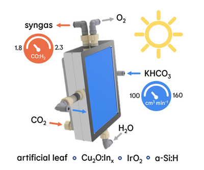 CO2-Elektroreduktion zu Synthesegas mit abstimmbarer Zusammensetzung in einem künstlichen Blatt